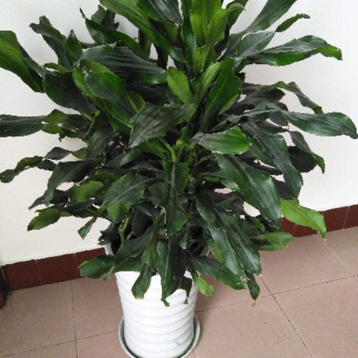 用户8939590238476