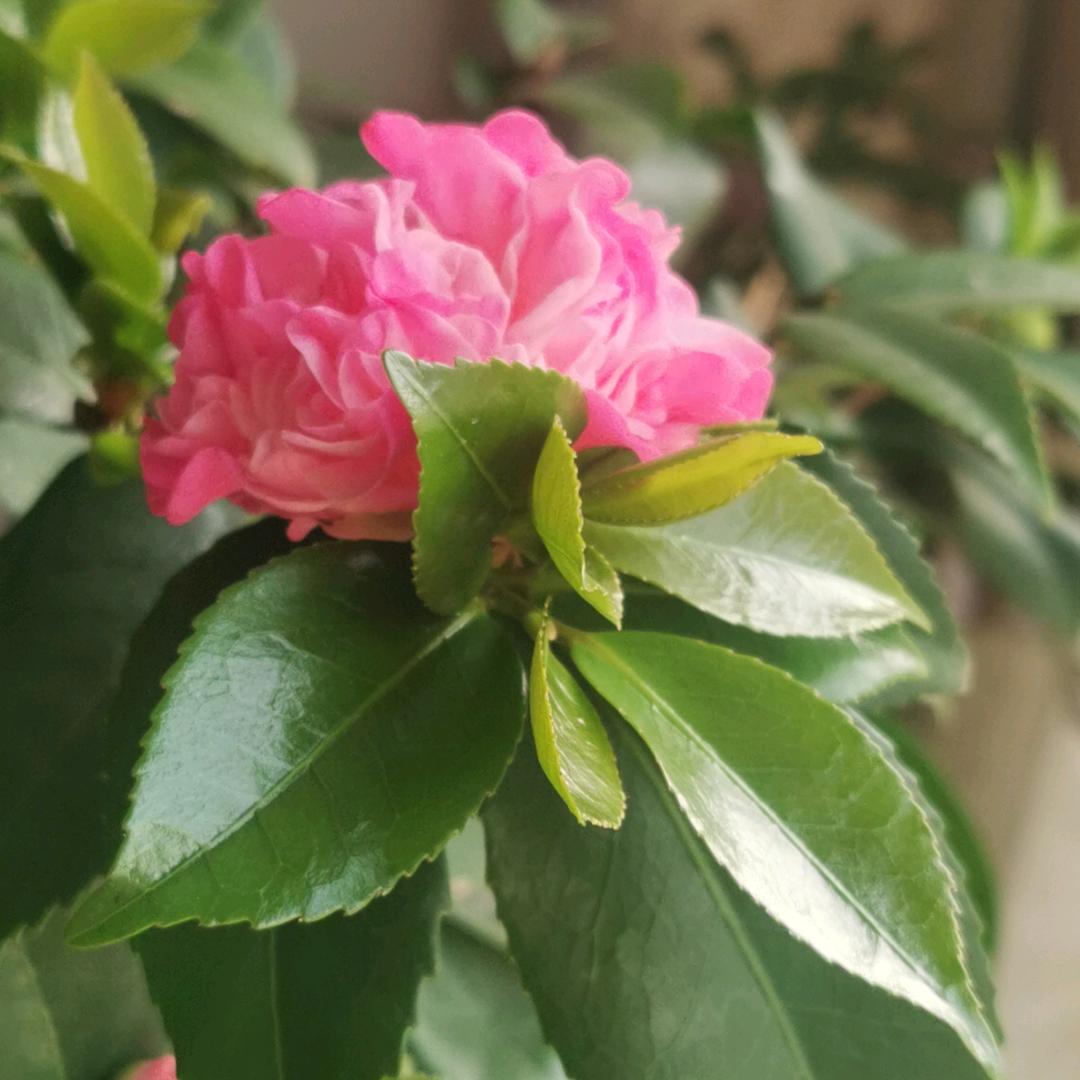 沁水百会