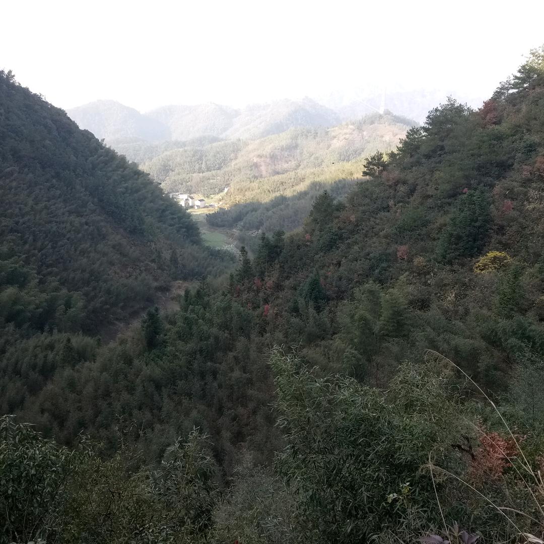 稳行在高处