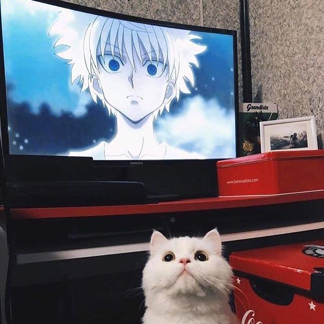 小卿