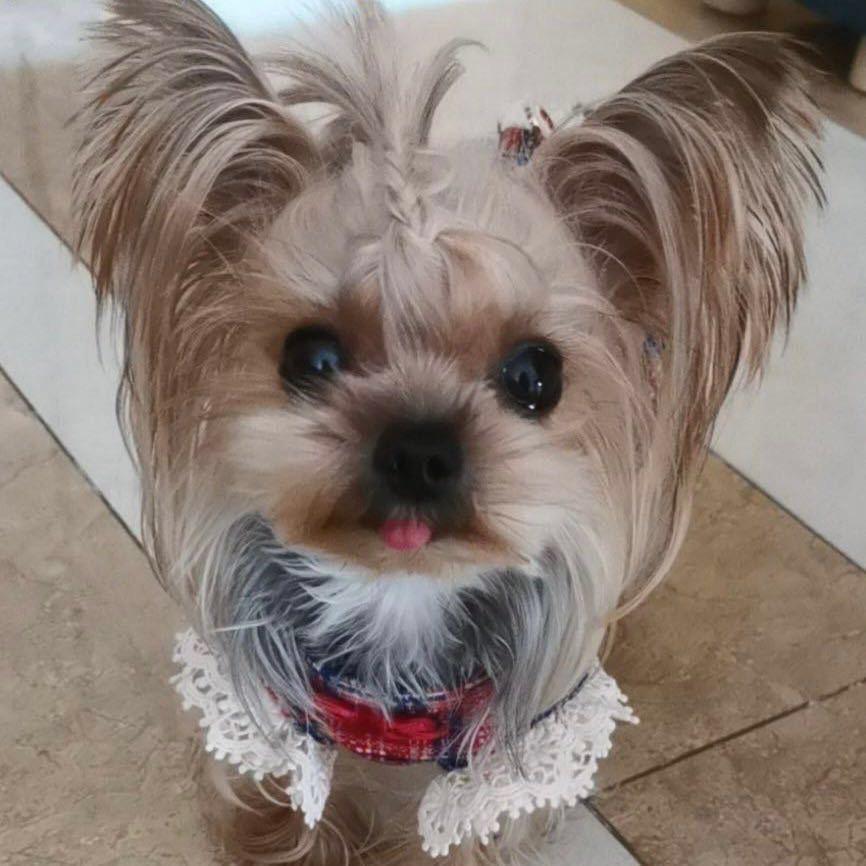 我是卖报的小行家