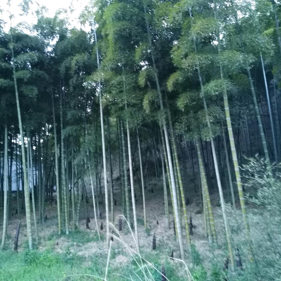 幸福一家