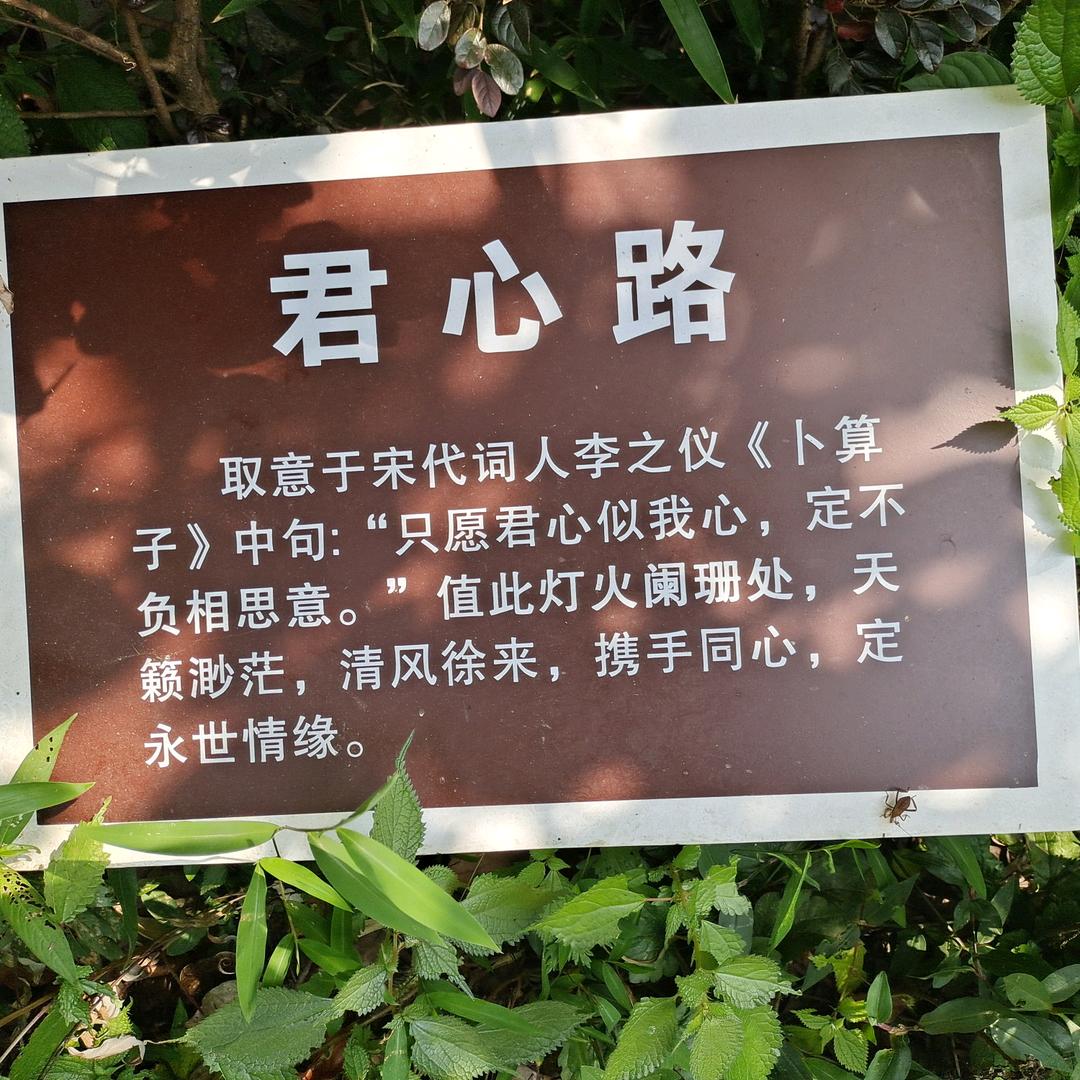 小幸运
