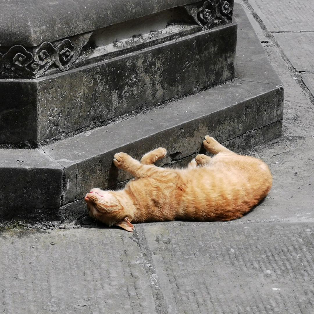 小冯今天瘦了吗