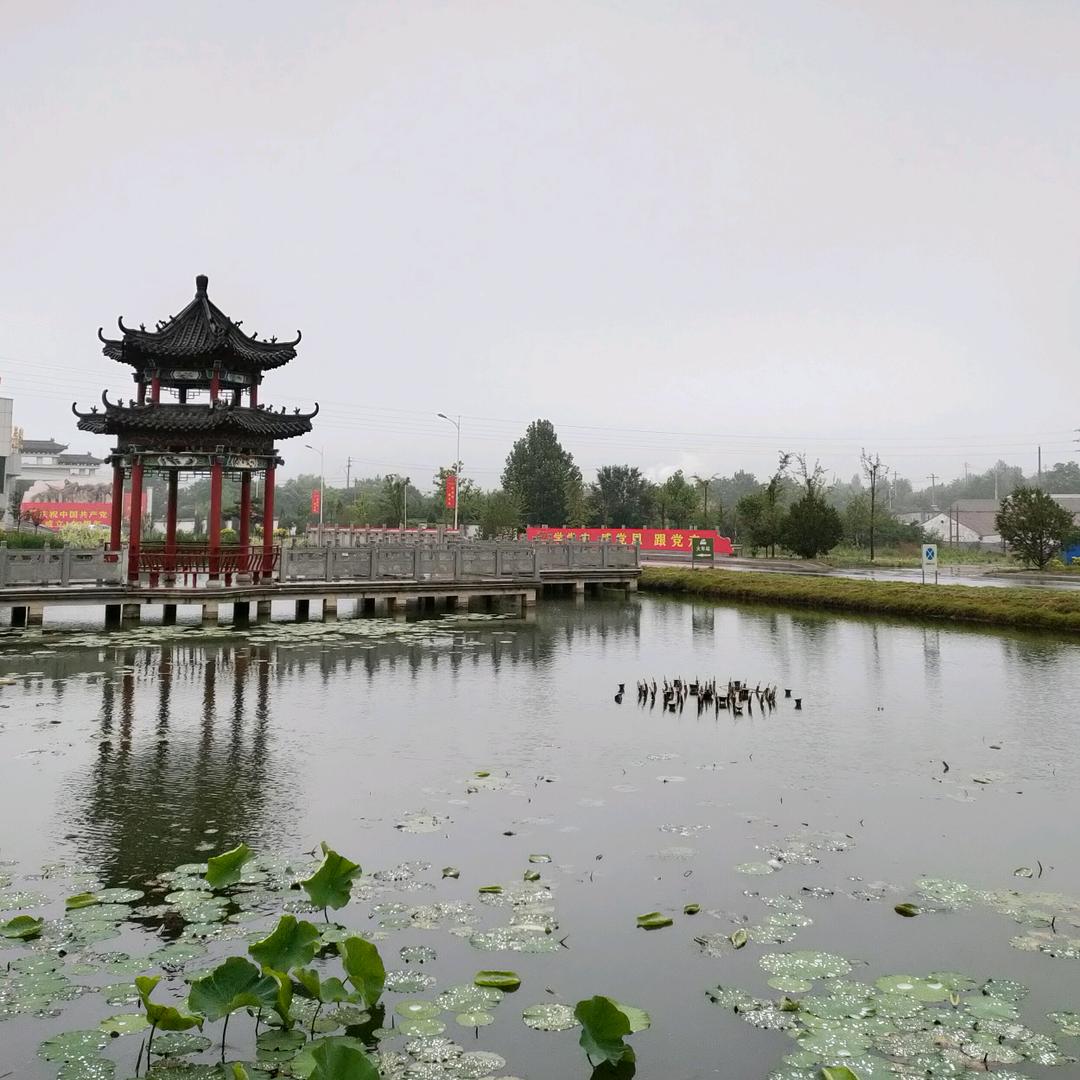 清晨