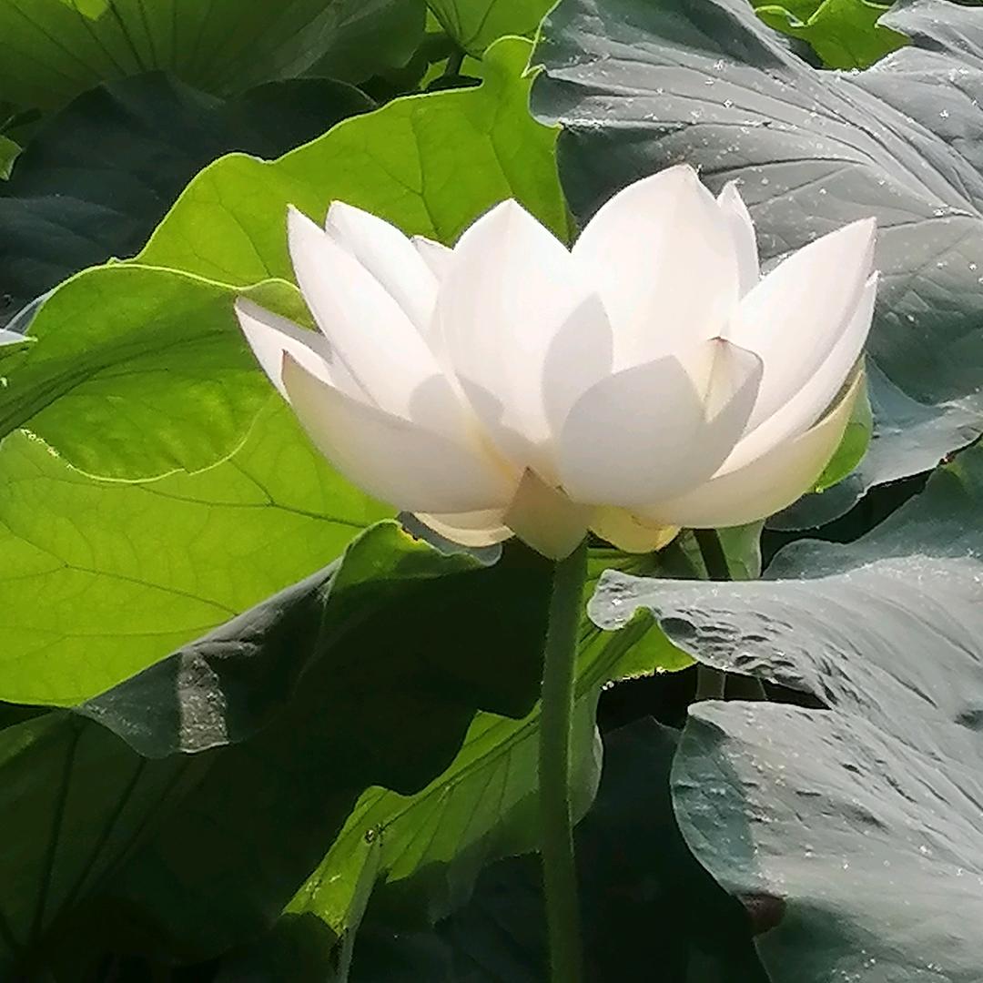 用户1198195596227