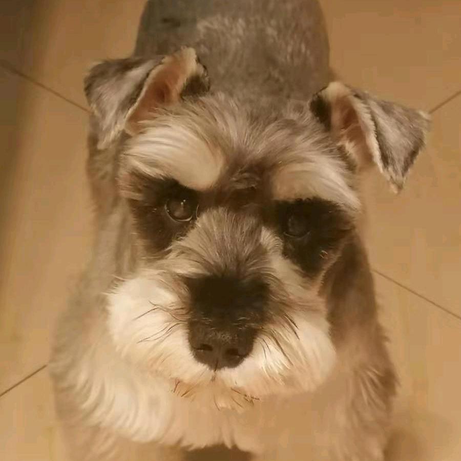 不发脾气，只求发财