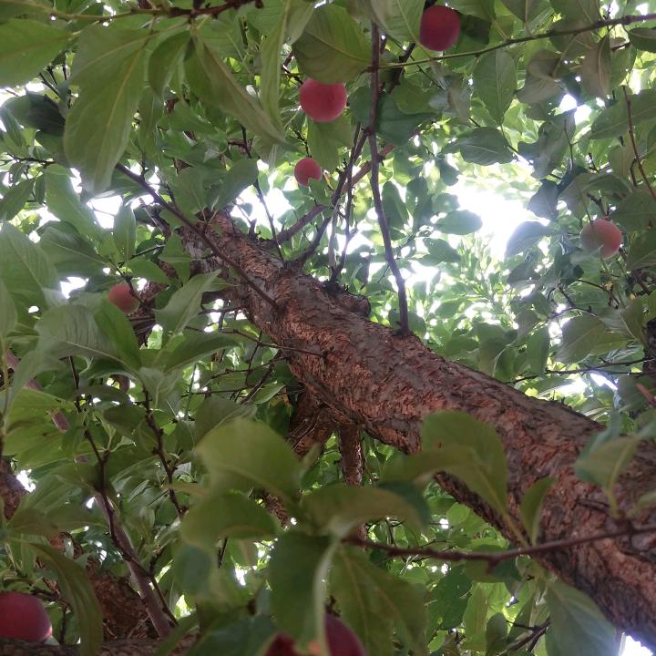 有你财好，水电，泥工