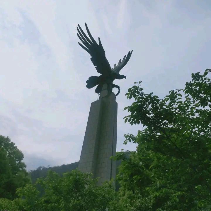 一杆一线入坑