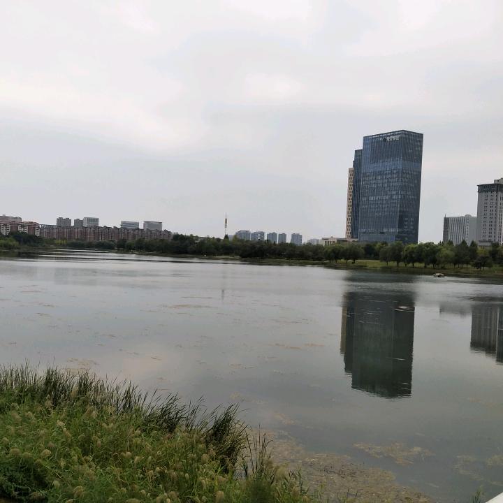 繁华似锦