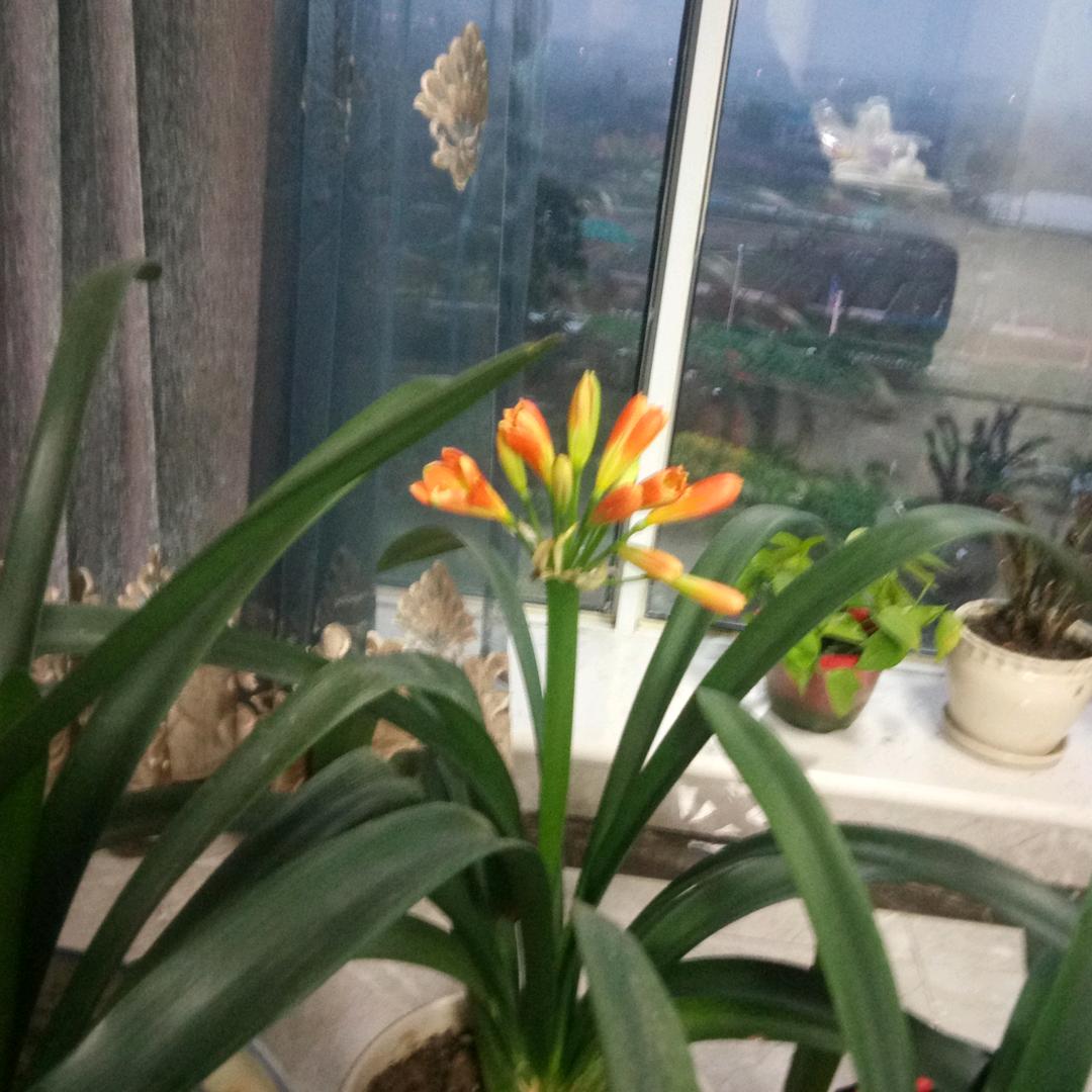 汤
