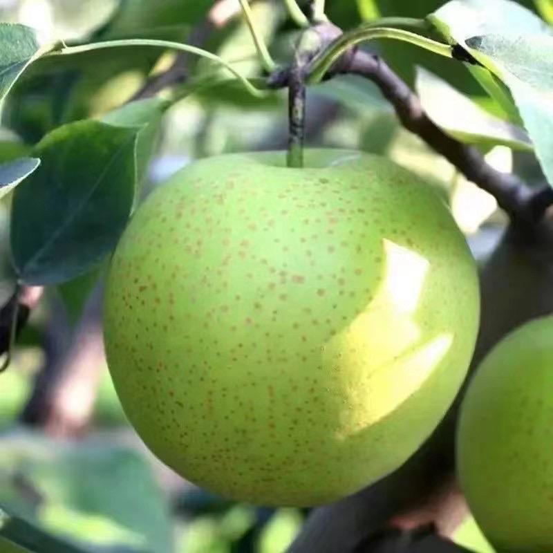 小屁孩❤️‍🔥