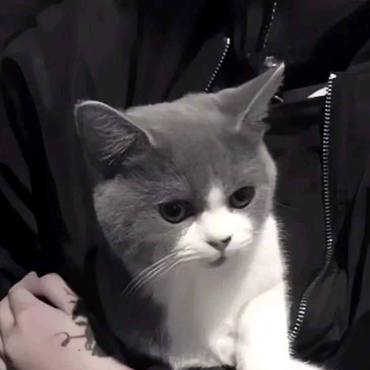 落日余晖✘✘✘