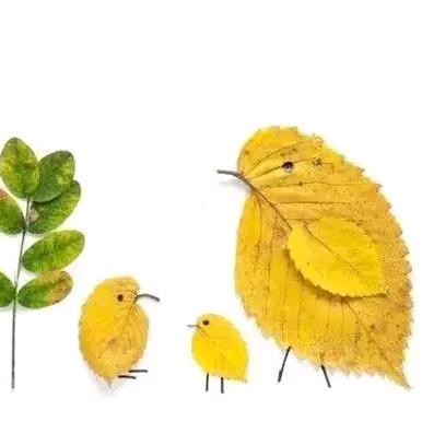 杉田教育席老师