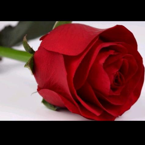 骑着神龙傲游九洲