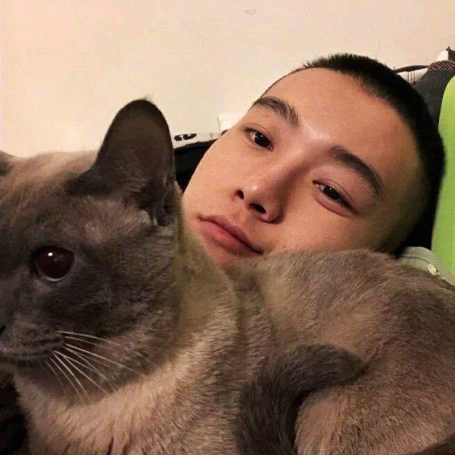 小鹿要发财（干中学）