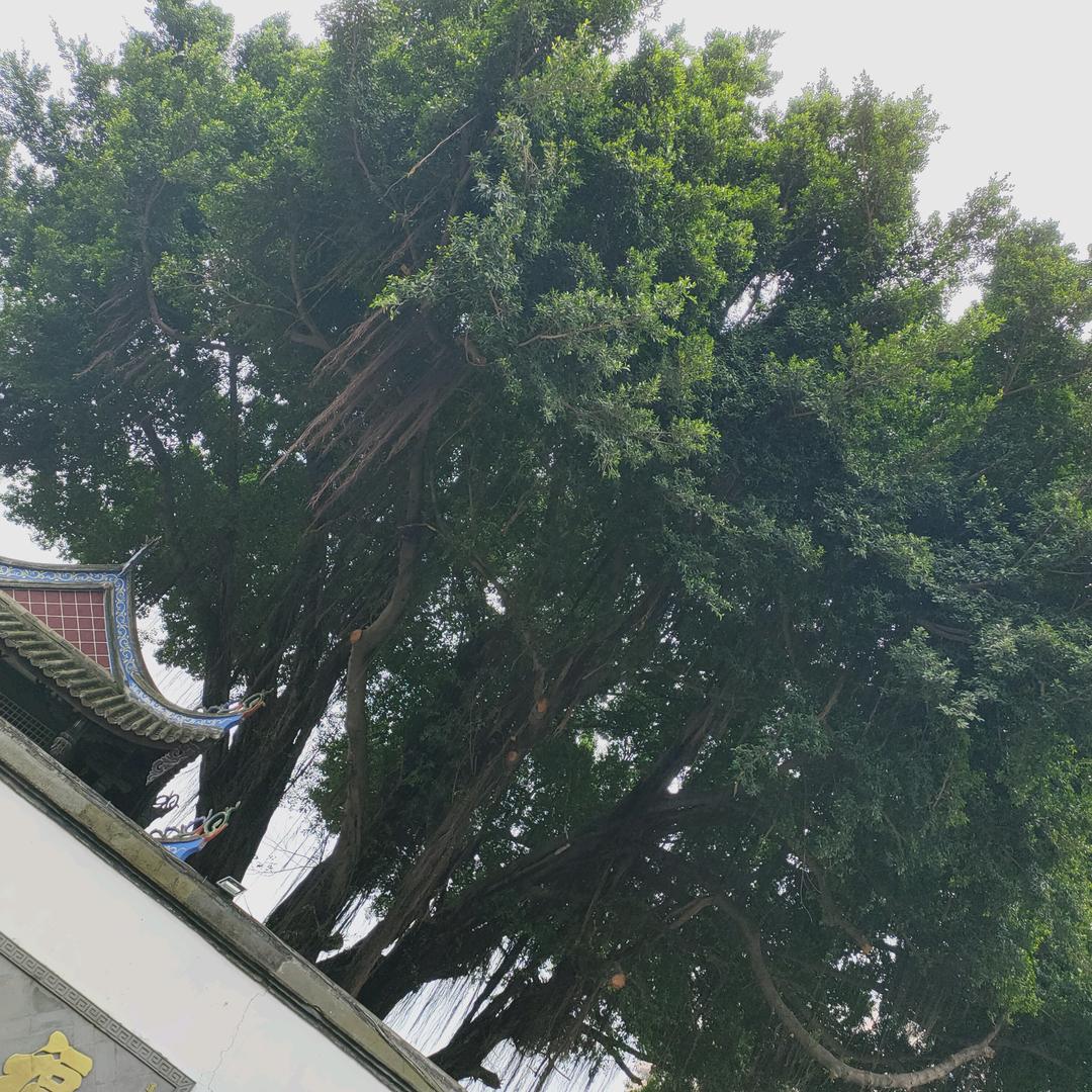 时光可以看清人心