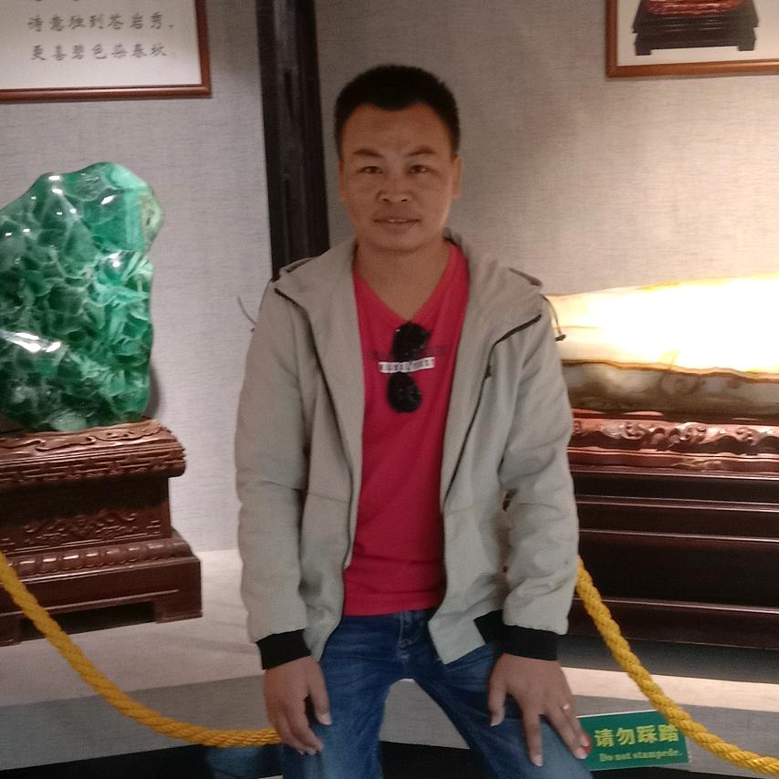 ≈亂勒吩吋的訫動≈