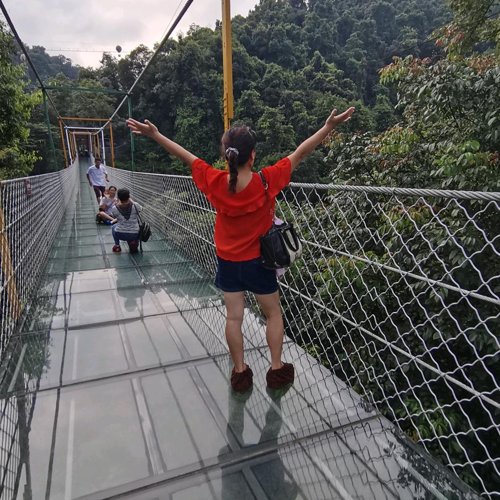 随风飘过