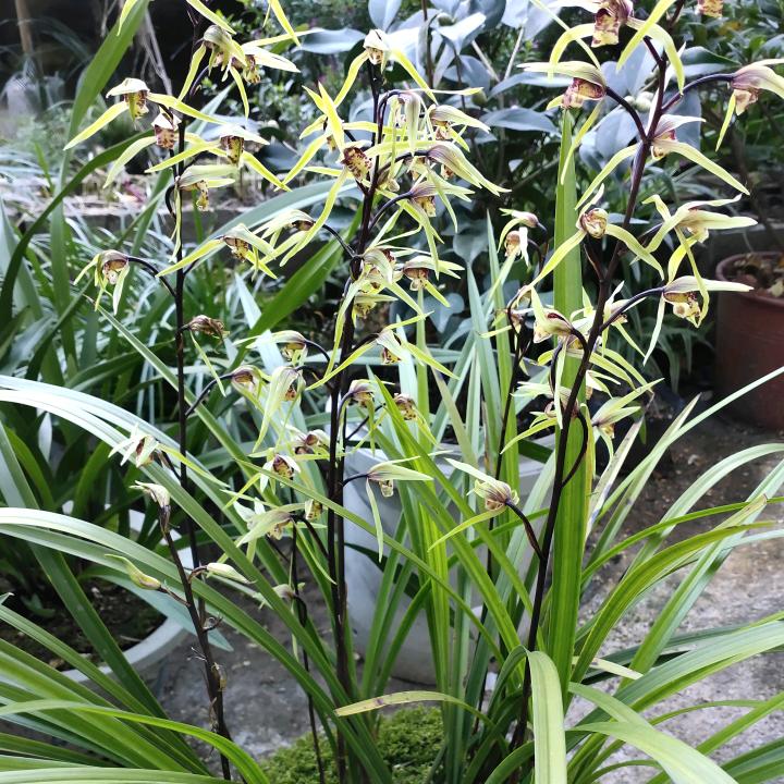 真心难找真爱难求