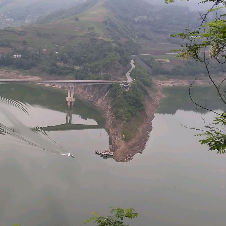 泽山