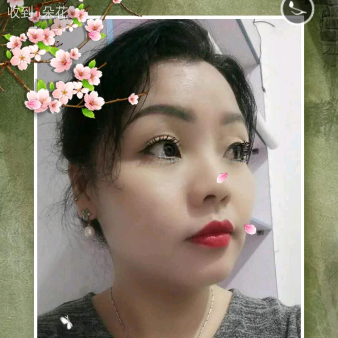 兰猫