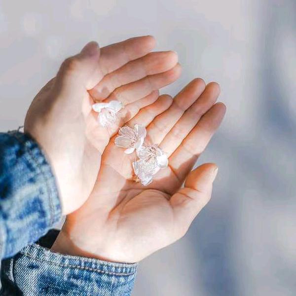 ☆②辈子的感觉♂