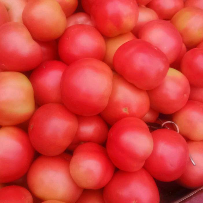 🍅洋柿子🍅曲沃壹哥✨
