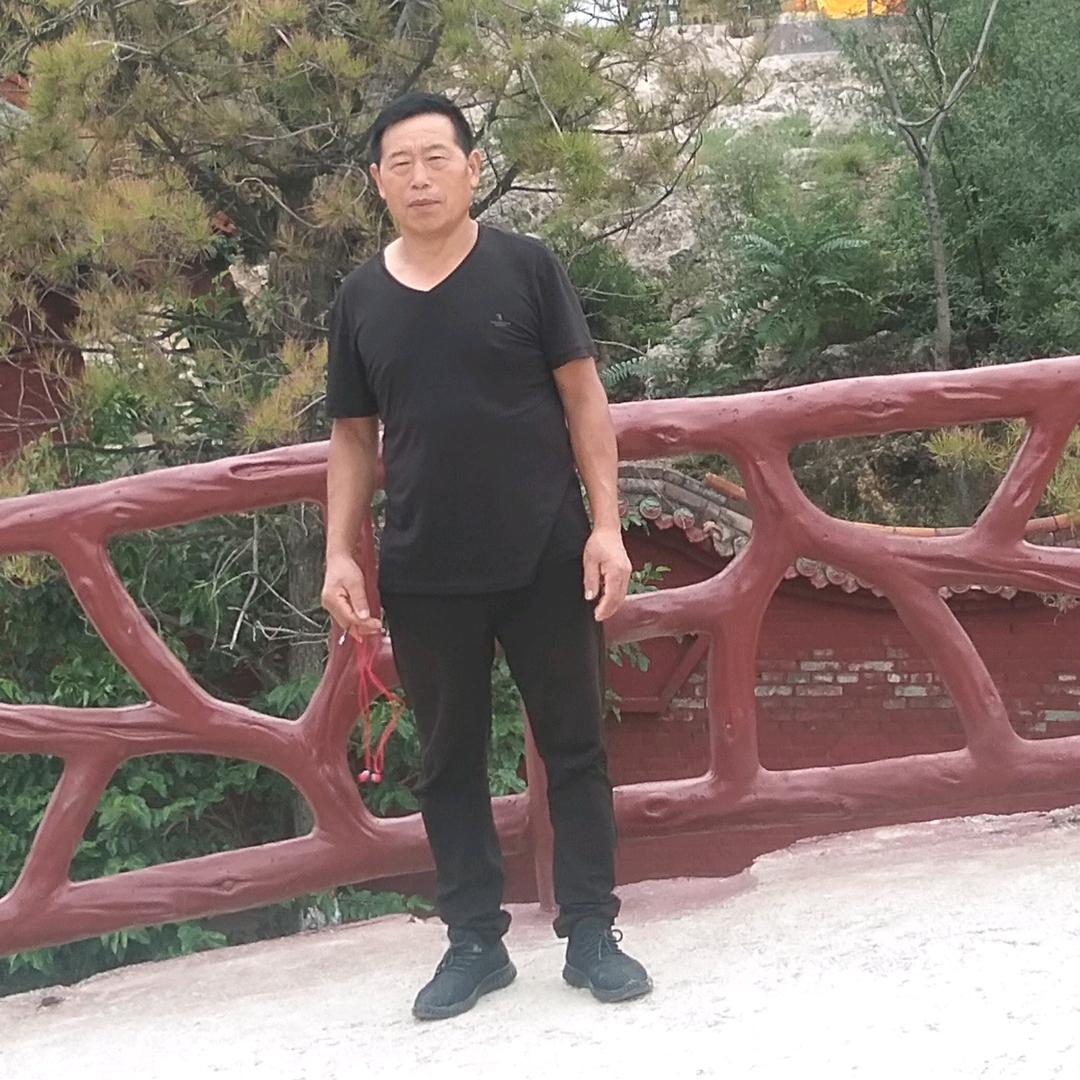 老牛爱唱歌