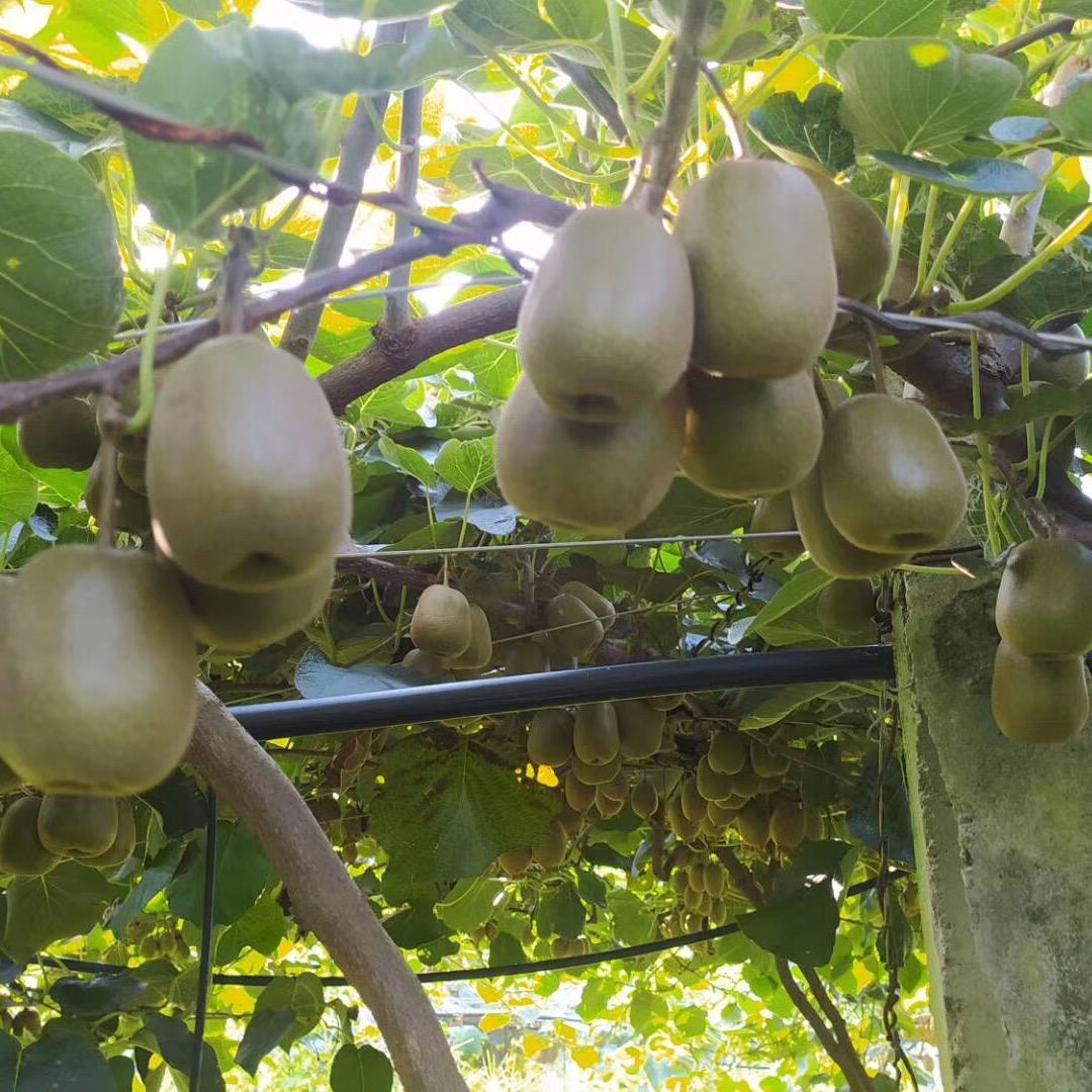 我的时光我的梦