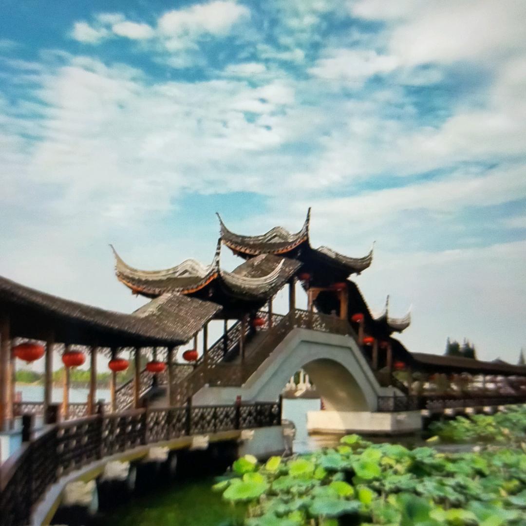 王二伟