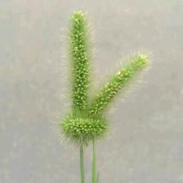 身未动，心已远