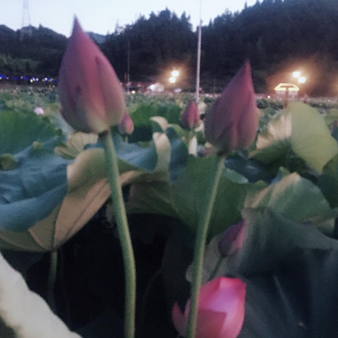 ღ᭄💞小水滴💦ღ᭄💞