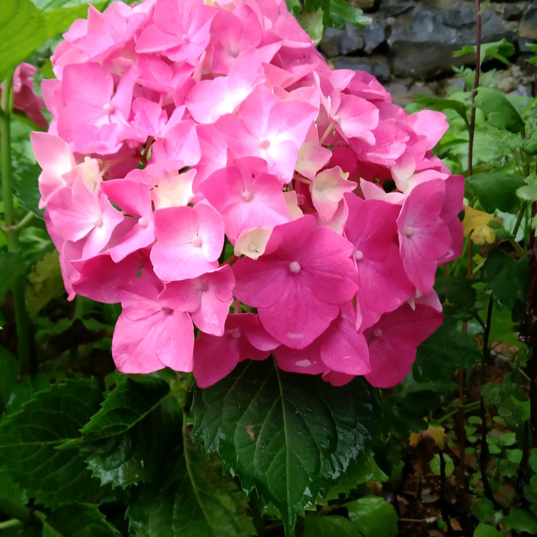 ☺春暖花开☺