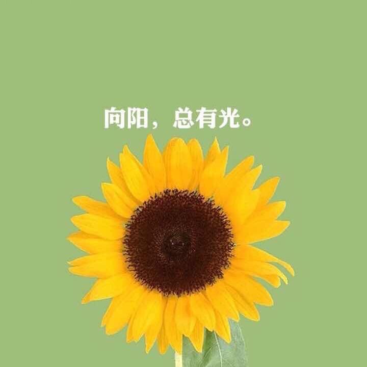 玛莎小院