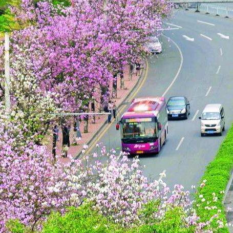 回首留不住光阴