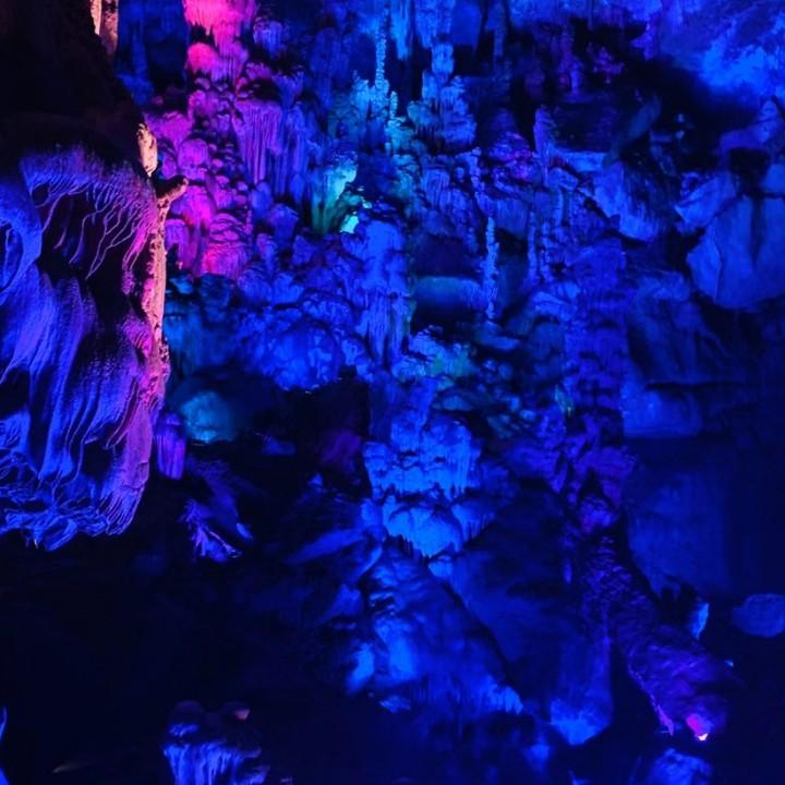 开开心心科技馆插花