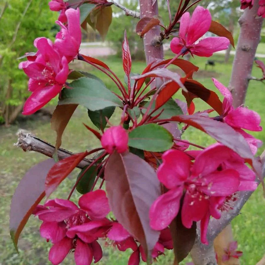 用户4346672053755梦想成真