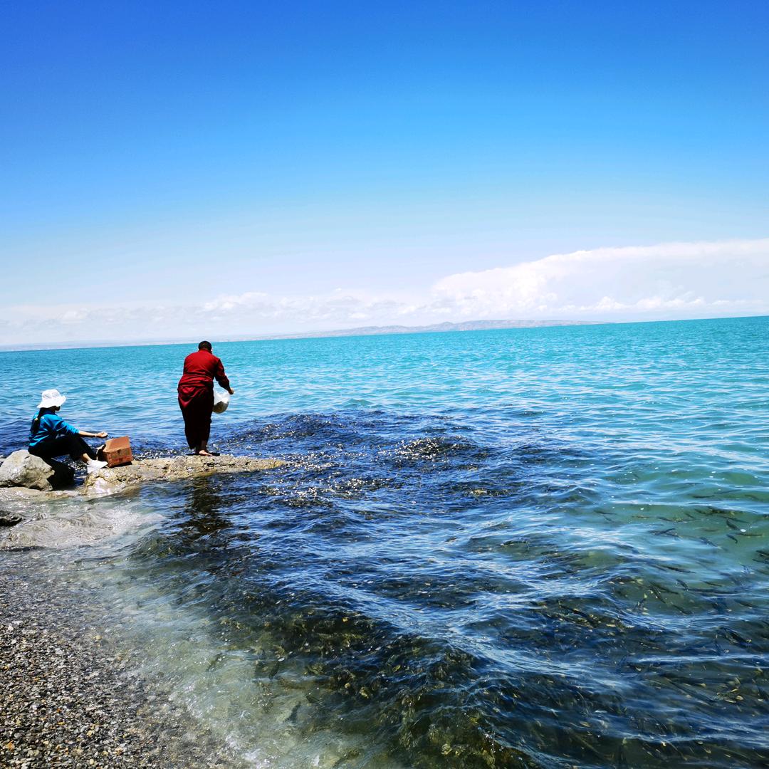 不学头陀法，前心安可忘！