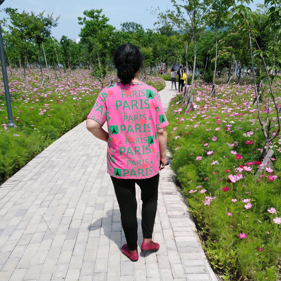我是红玫瑰