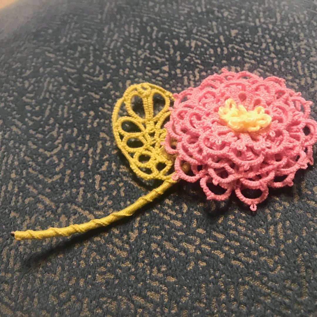 爱吃橙子的芒果