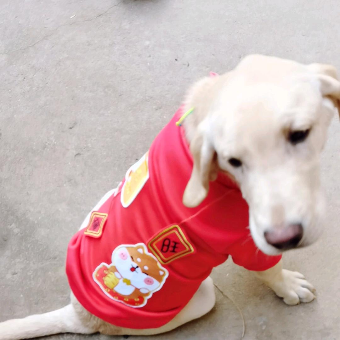 珍义涵