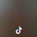 ヾ(＠⌒ー⌒＠)