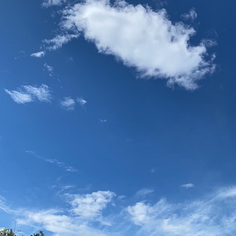 峻泓