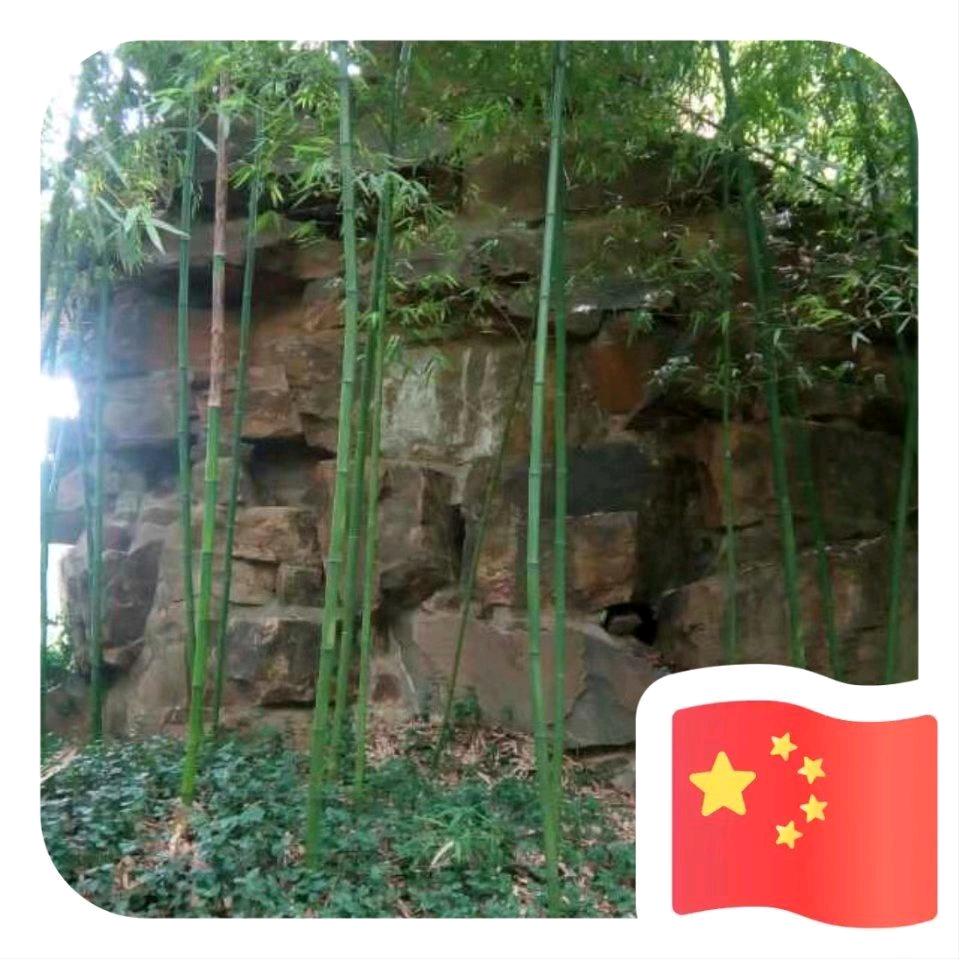 画舫听雨眠
