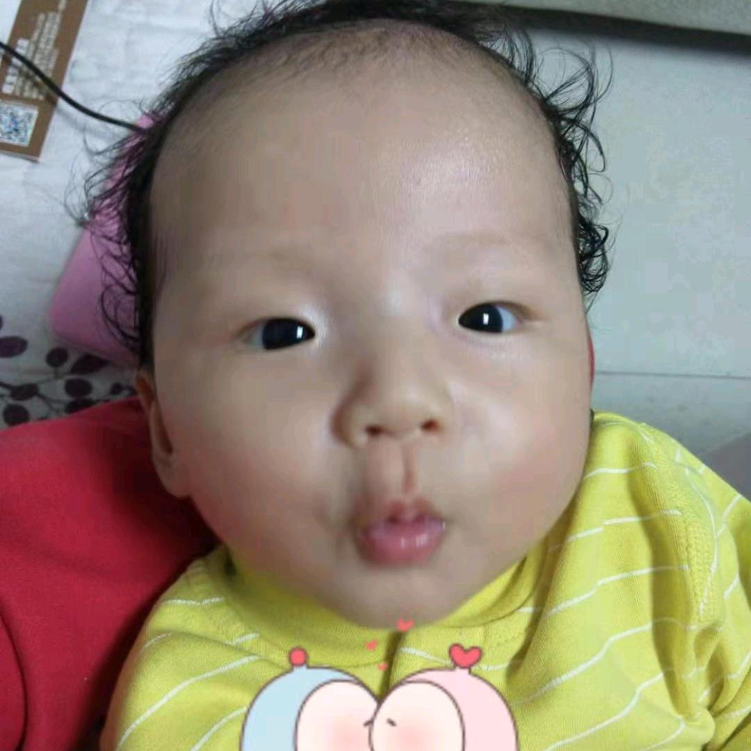 德德小子（原创）