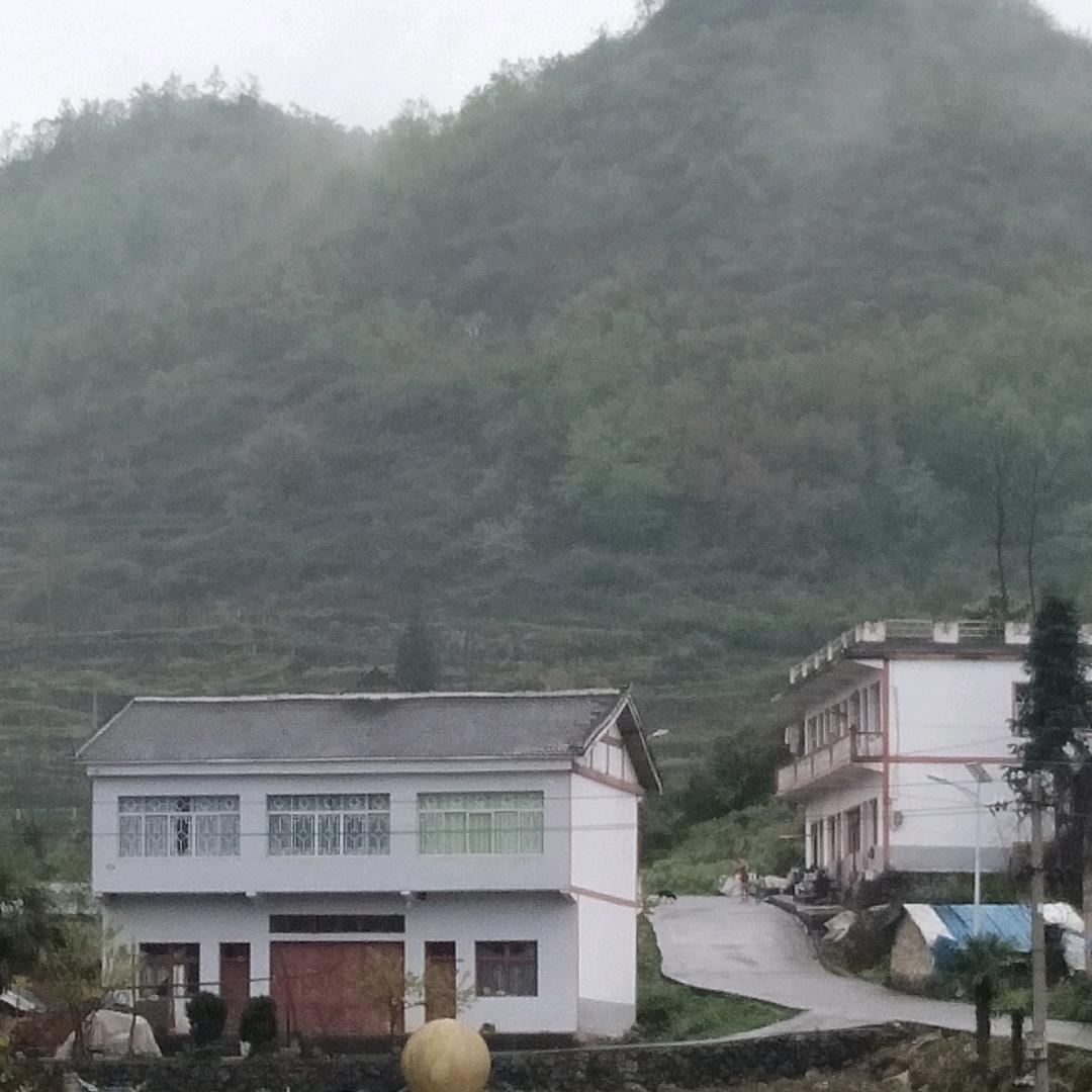 实话实说(走投无路)