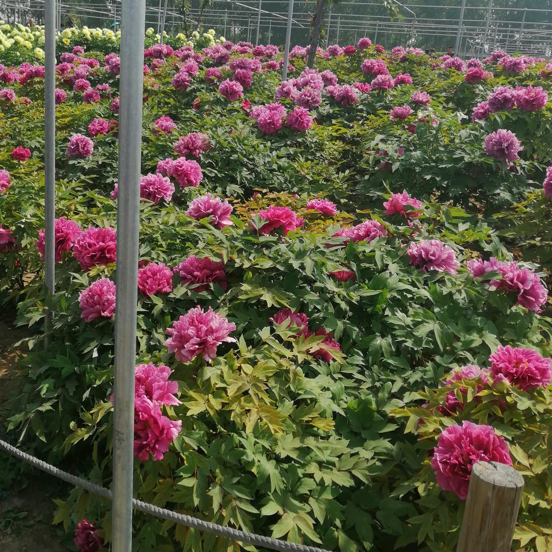 用户主赐平安