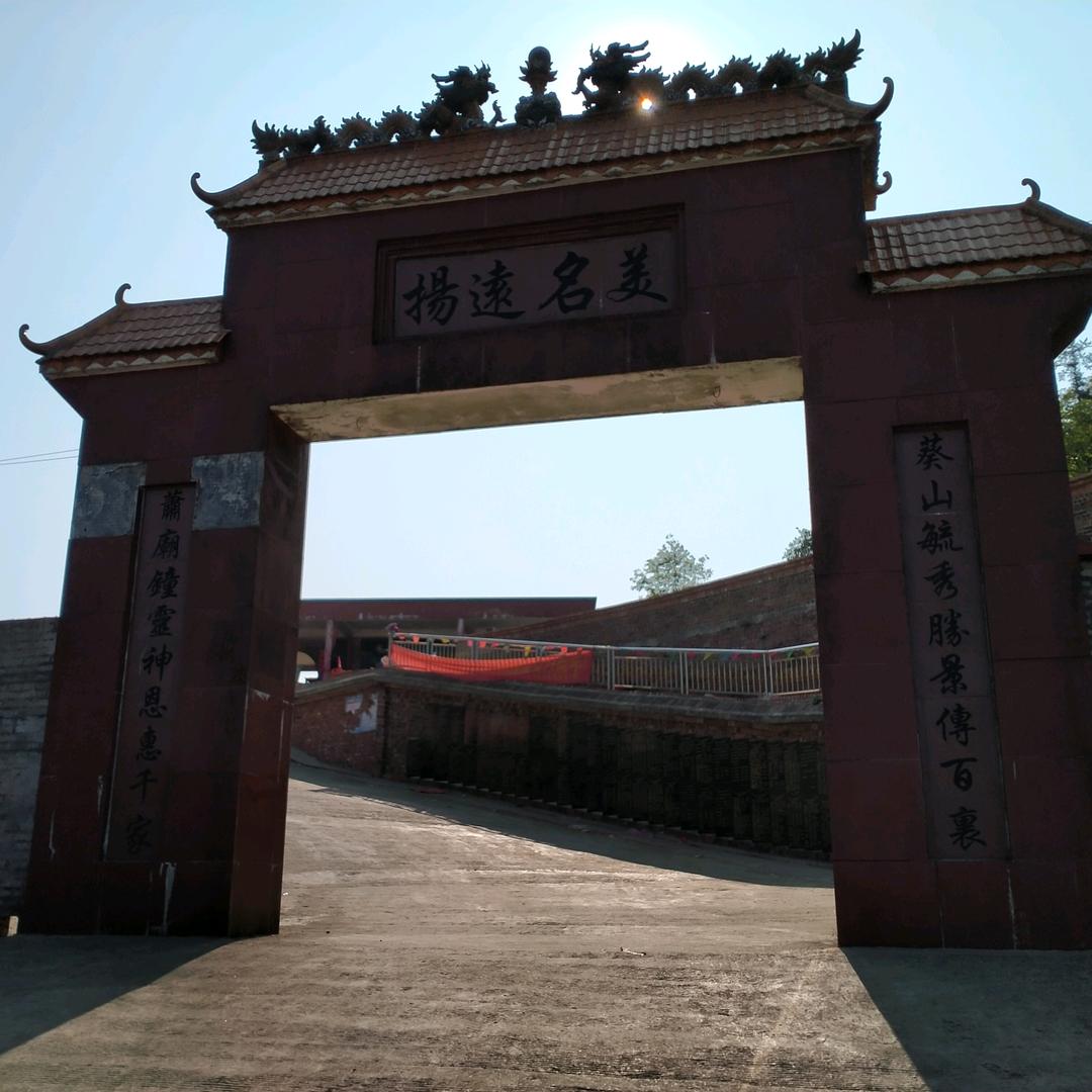 龙