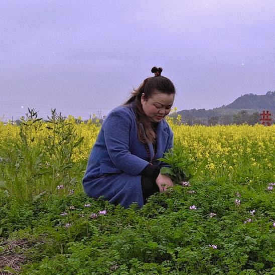 樱花树下的约定